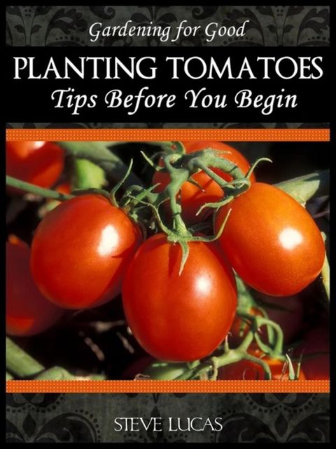 Planting Tomatoes, Steve Lucas