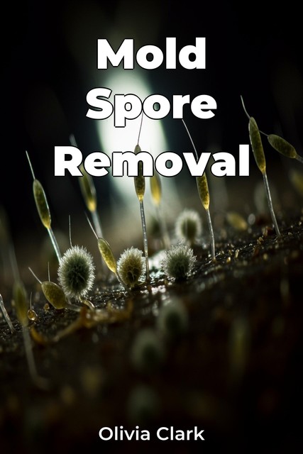 Mold Spore Removal, Olivia Clark