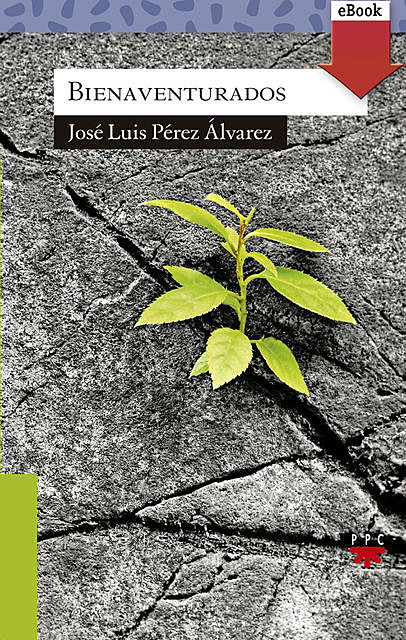 Bienaventurados, José Luis Pérez Álvarez