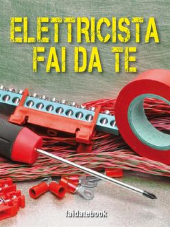 Elettricista Fai da te, Francesco Poggi