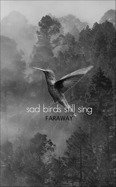 Sad Birds Still Sing, Faraway