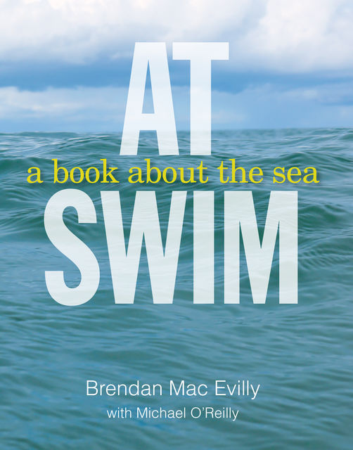 At Swim: A Book About the Sea, Brendan Mac Evilly