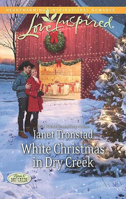 White Christmas in Dry Creek, Janet Tronstad