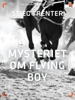 Mysteriet om Flying Boy, Stieg Trenter