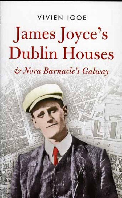 James Joyce's Dublin Houses, Vivian Igoe