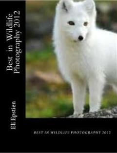 Best in Wildlife Photography 2012, Epstien