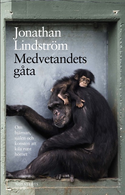 Medvetandets gåta, Jonathan Lindström