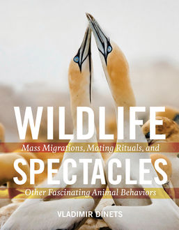 Wildlife Spectacles, Vladimir Dinets