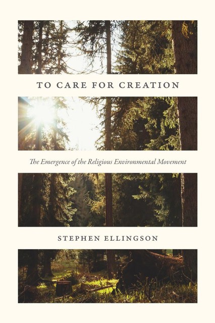 To Care for Creation, Stephen Ellingson