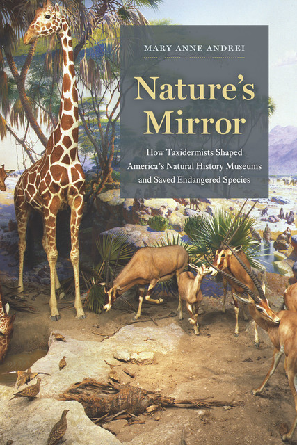 Nature's Mirror, Mary Anne Andrei