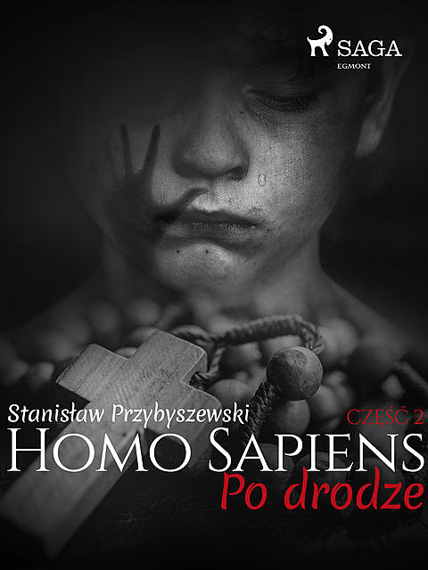 Homo Sapiens 2: Po drodze, Stanisław Przybyszewski