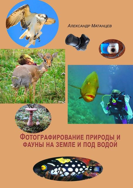 Фотографирование природы и фауны на земле и под водой, Александр Матанцев