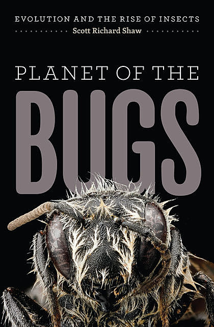 Planet of the Bugs, Scott Shaw