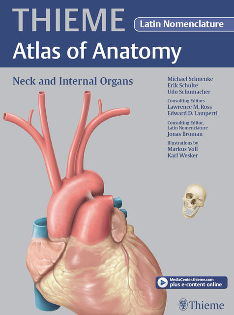 Neck and Internal Organs – Latin Nomencl. (THIEME Atlas of Anatomy), Michael Schuenke, Erik Schulte, Udo Schumacher