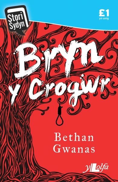 Stori Sydyn: Bryn y Crogwr, Bethan Gwanas