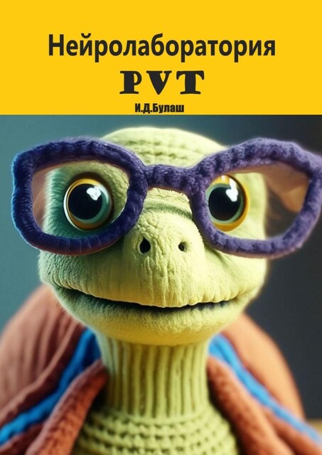 Нейролаборатория PVT, Илья Булаш