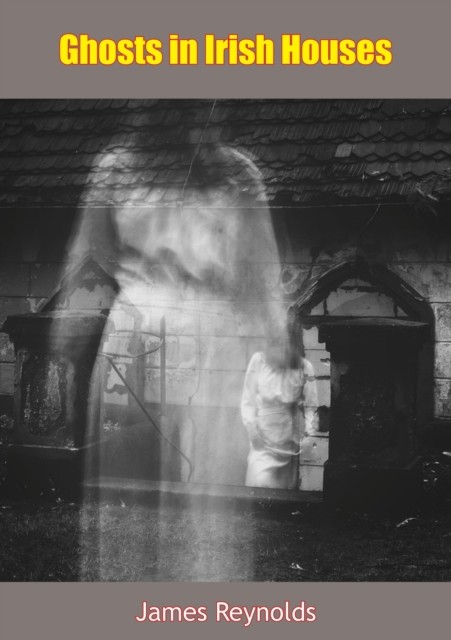 Ghosts in Irish Houses, James Reynolds