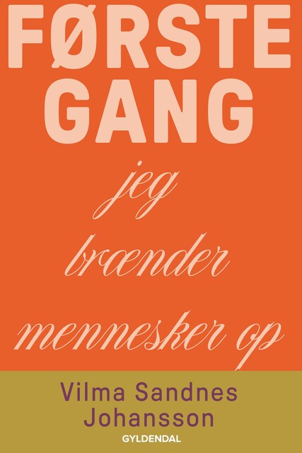 Første gang jeg brænder mennesker op, Vilma Sandnes Johansson
