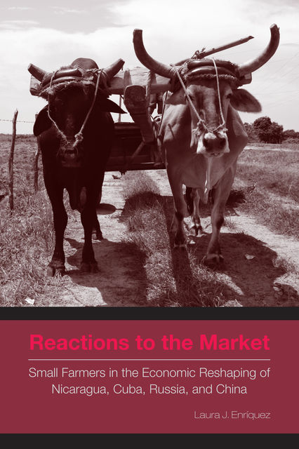 Reactions to the Market, Laura J. Enríquez