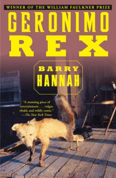 Geronimo Rex, Barry Hannah
