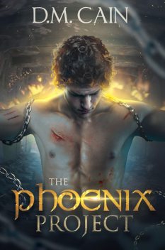 The Phoenix Project, D.M. Cain