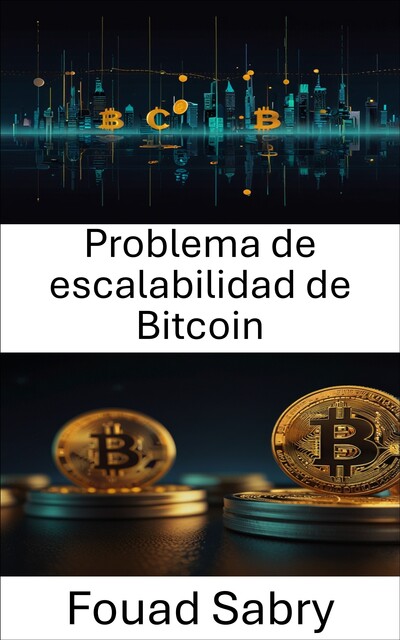 Problema de escalabilidad de Bitcoin, Fouad Sabry