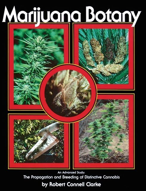 Marijuana Botany, Robert Clarke