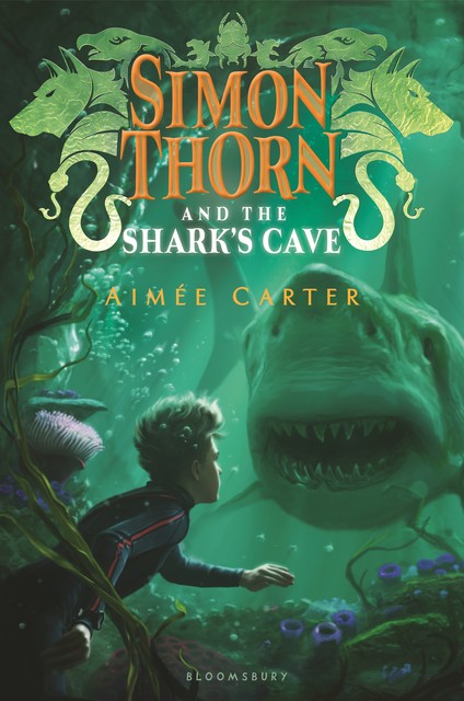 Simon Thorn and the Shark's Cave, Aimée Carter