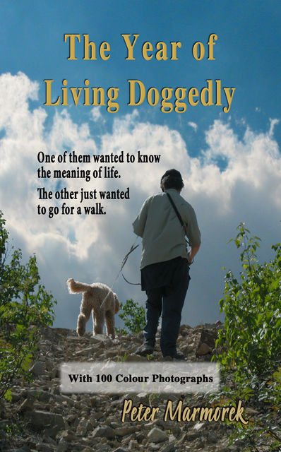The Year of Living Doggedly, Peter Marmorek