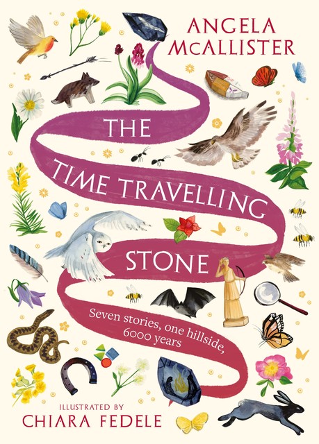 The Time Travelling Stone, Angela McAllister