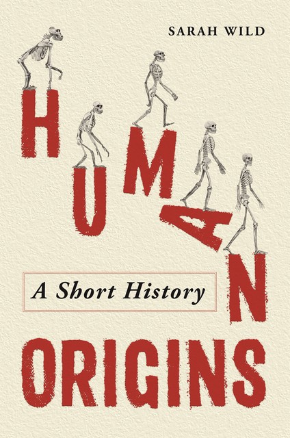 Human Origins, Sarah Wild