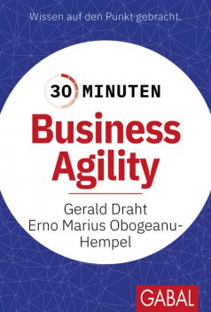 30 Minuten Business Agility, Erno Marius Obogeanu-Hempel, Gerald Draht