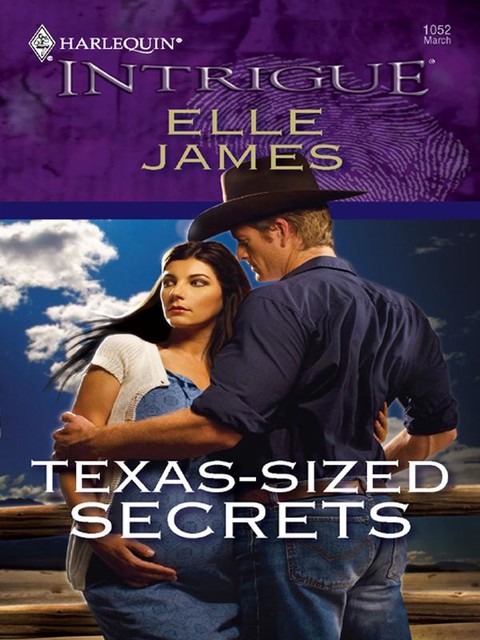 Texas-Sized Secrets, Elle James