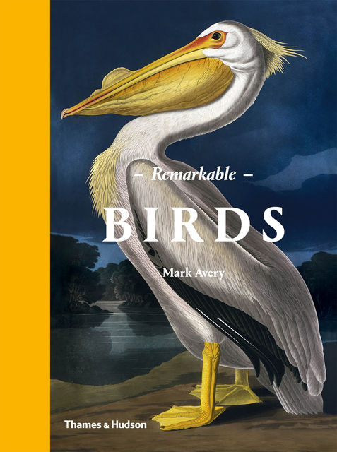 Remarkable Birds, Mark Avery