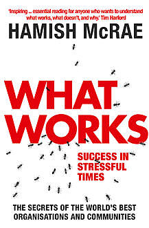 What Works: Success in Stressful Times, Hamish McRae