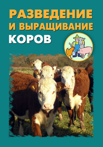 Разведение и выращивание коров, Илья Мельников