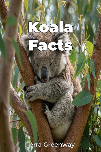 Koala Facts, Terra Greenway