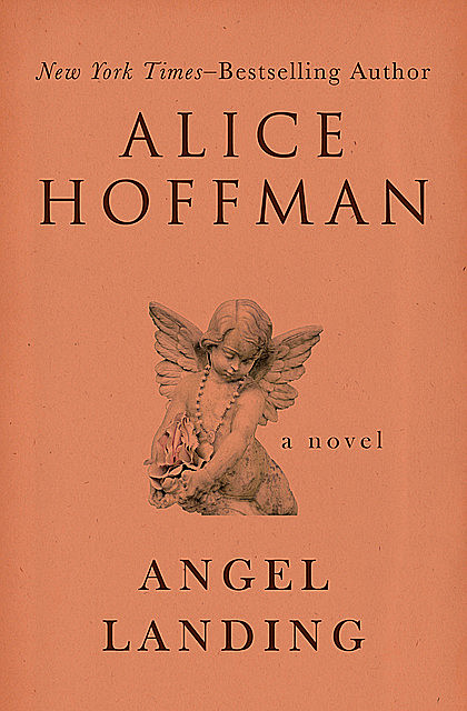 Angel Landing, Alice Hoffman