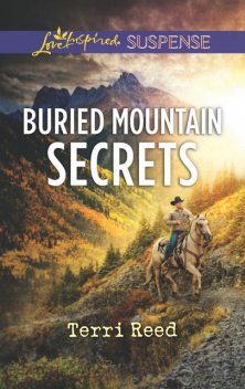 Buried Mountain Secrets, Terri Reed