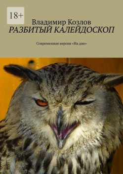 Разбитый калейдоскоп. Современная версия «На дне», Владимир Алексеевич Козлов