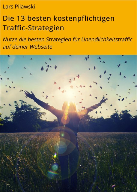 Die 13 besten kostenpflichtigen Traffic-Strategien, Lars Pilawski