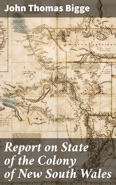 Report on State of the Colony of New South Wales, John Thomas Bigge