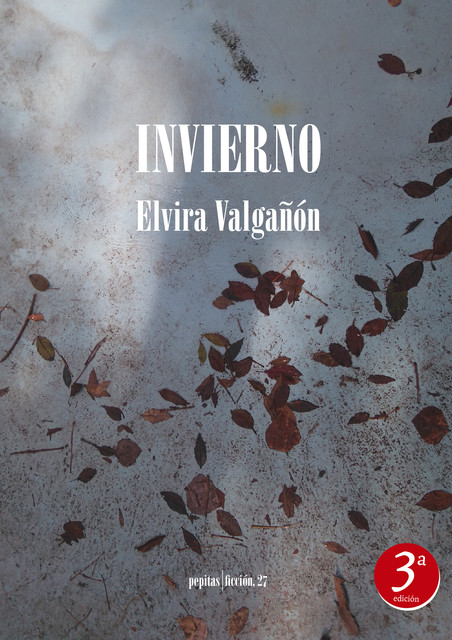 Invierno, Elvira Valgañón