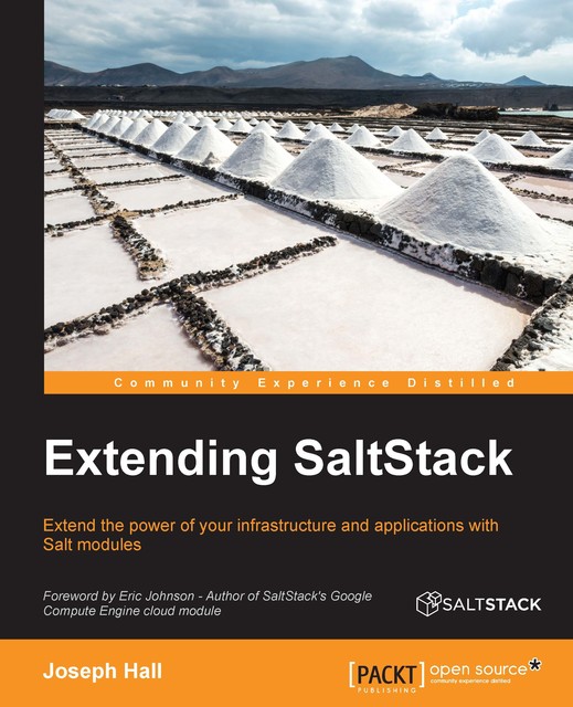 Extending SaltStack, Joseph Hall