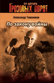 По закону войны, Александр Тамоников