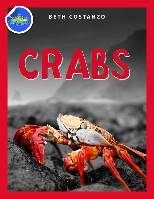 Crab Activity Workbook for Kids ages 4–8, Beth Costanzo