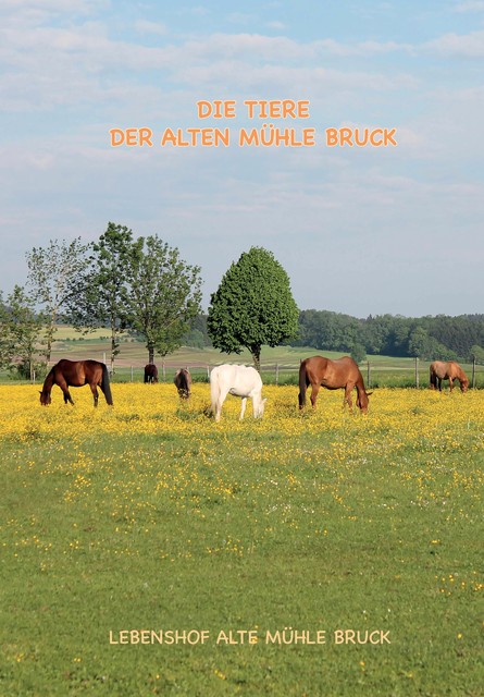 Wie kommt das Pony auf den Gnadenbrothof, Alex Meyer, Jana Baller, Regina Peter