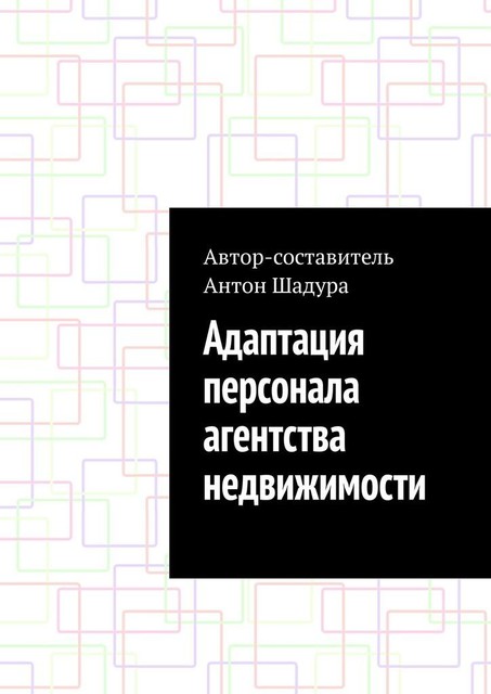 Адаптация персонала агентства недвижимости, Антон Шадура