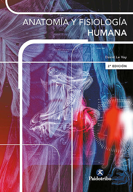 Anatomía y fisiología humana, David Le Vay