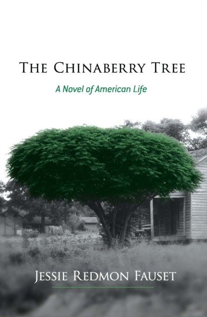 The Chinaberry Tree, Jessie Redmon Fauset